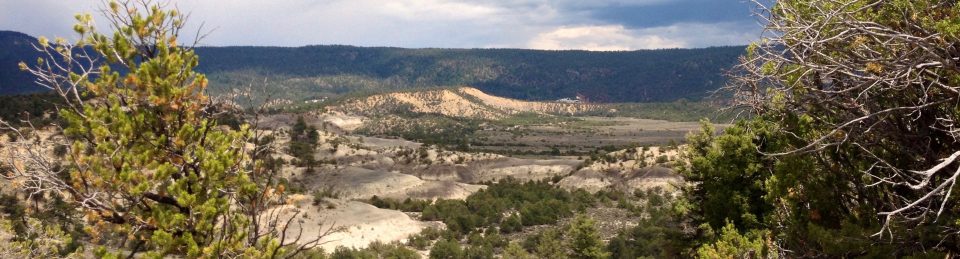 Life, Objects, Places